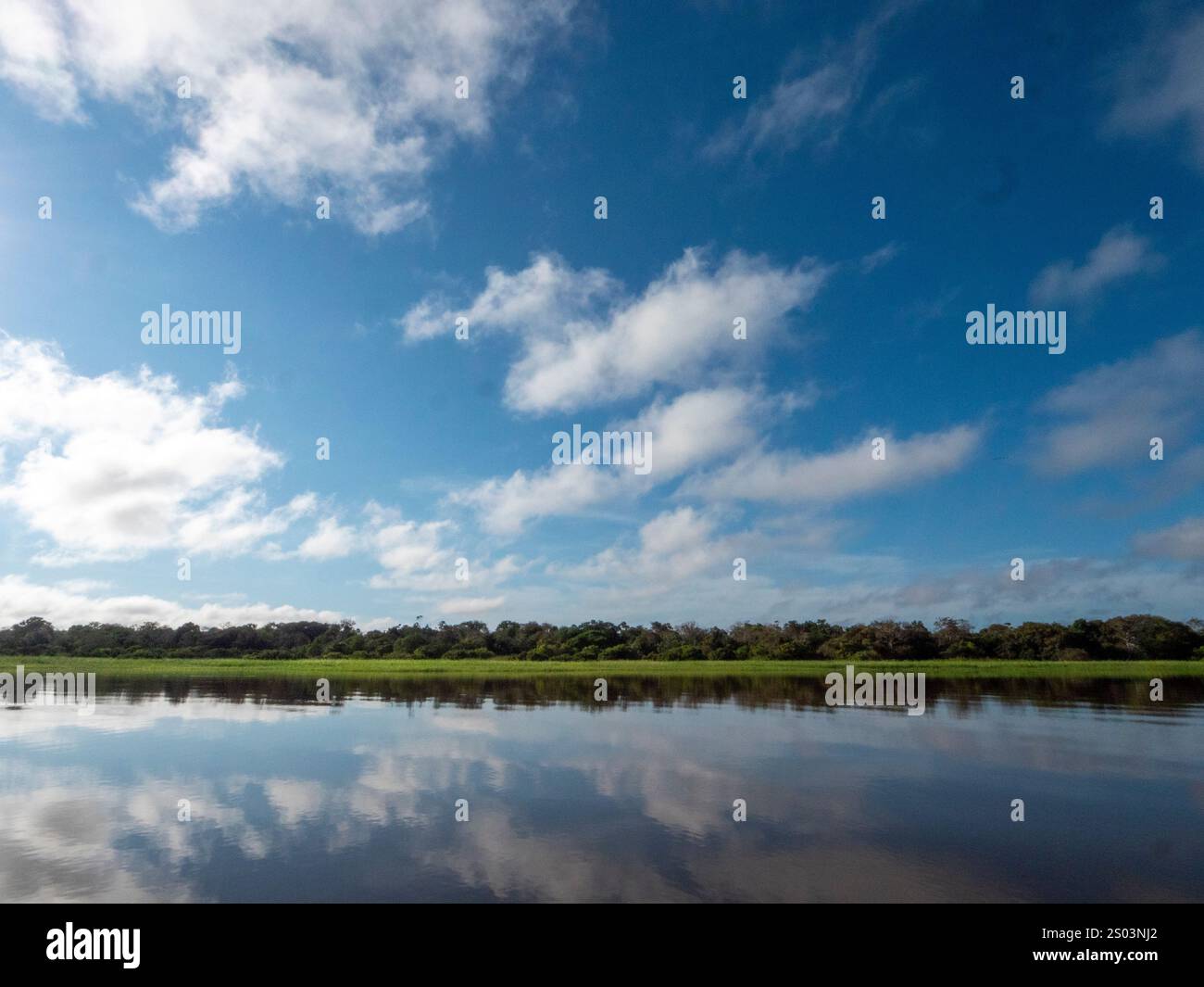 Paysage du fleuve Amazone. Prise près du parc national de Mamiraua. Banque D'Images