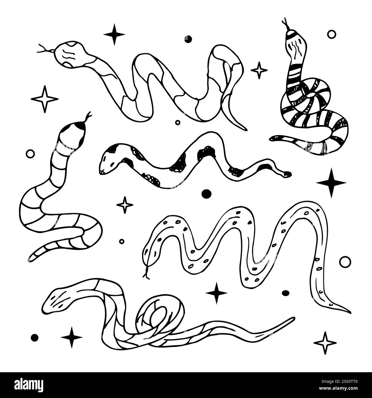 Un ensemble de serpents dessinés à la main, des silhouettes recouvertes de motifs ethniques. Collection de serpents sauvages. Collection pour tatouages, estampes, cartes postales, éléments de design. Illustration de Vecteur