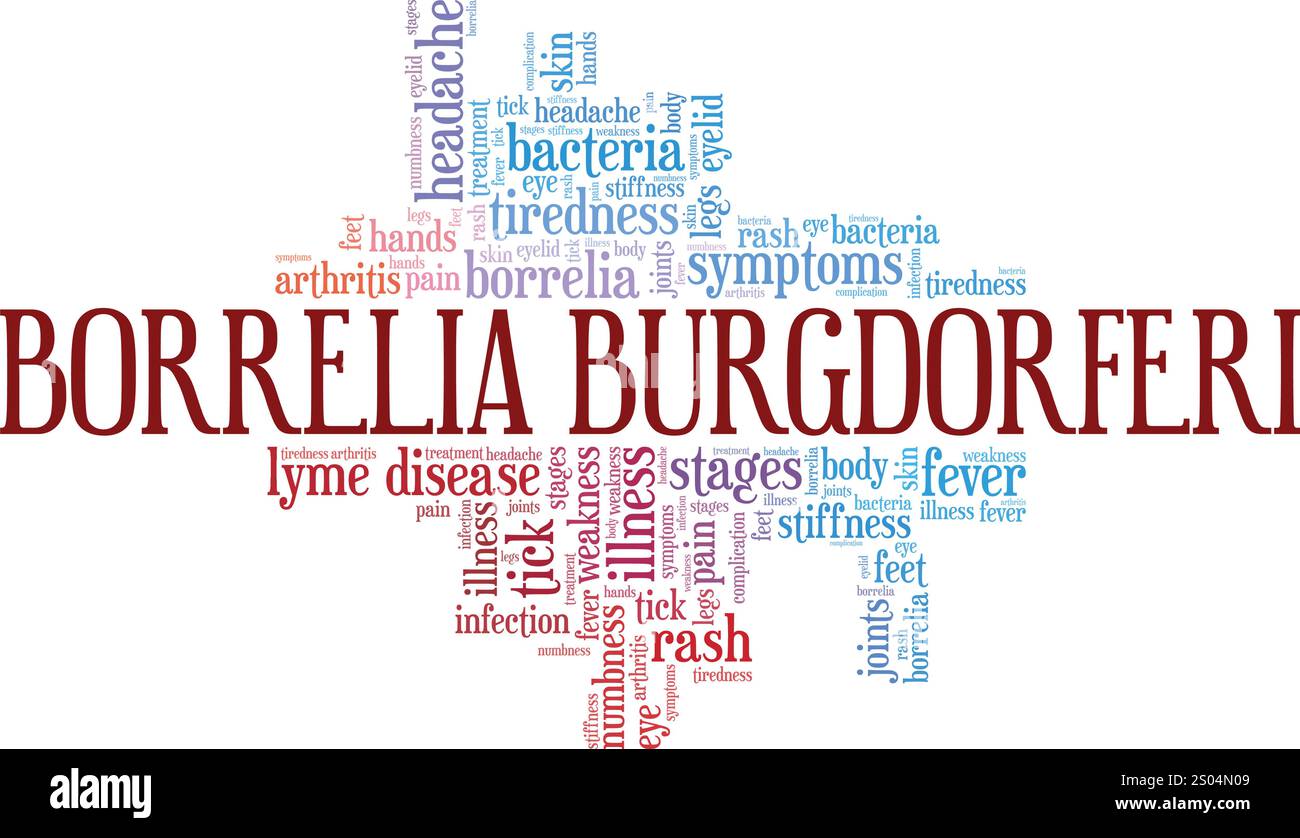 Maladie de Lyme : Borrelia burgdorferi Word Cloud design conceptuel isolé sur fond blanc. Illustration de Vecteur