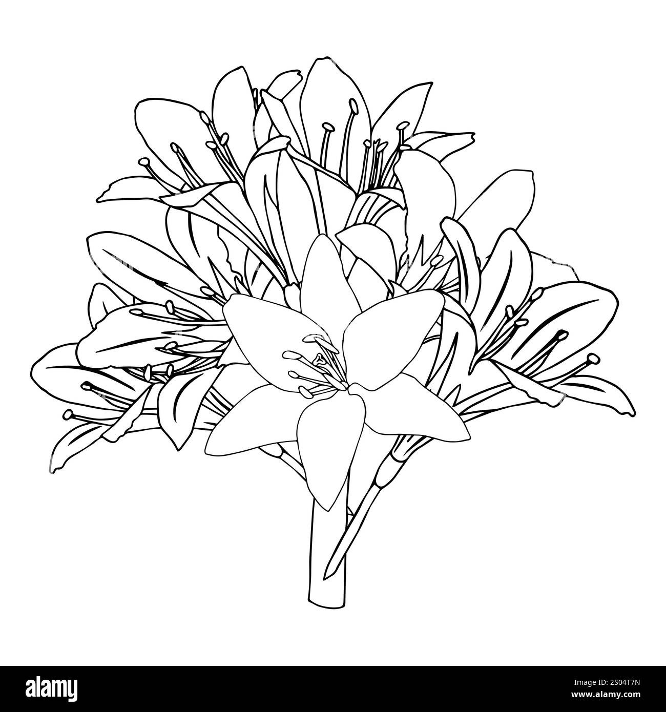 Bouquet de lis dans le style doodle. Illustration ajourée isolée sur fond blanc. Illustration de Vecteur Bouquet de lis dans le style doodle. Illustration ajourée isolée sur fond blanc. Illustration de Vecteur