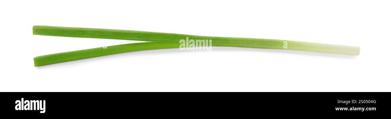 Un oignon vert frais isolé sur blanc Banque D'Images