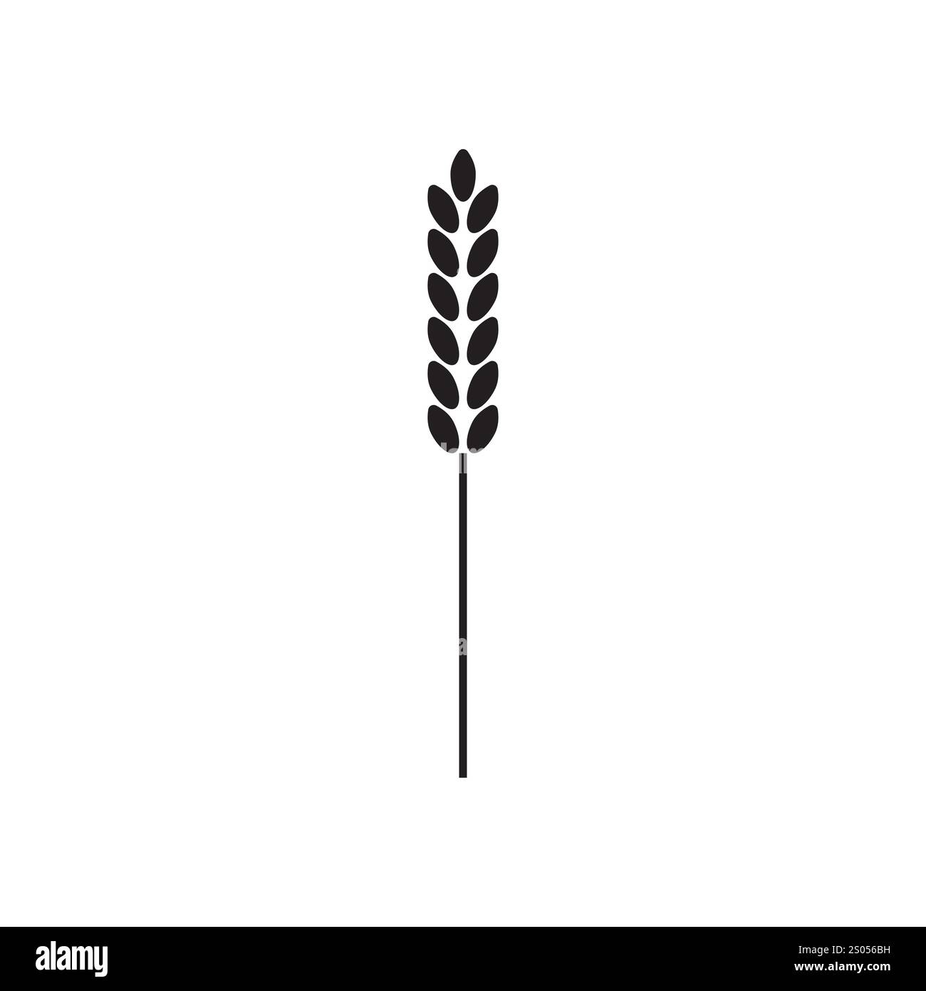 Icône de blé noir. Symbole de grain minimal. Illustration vectorielle simple. Conception isolée. Illustration de Vecteur