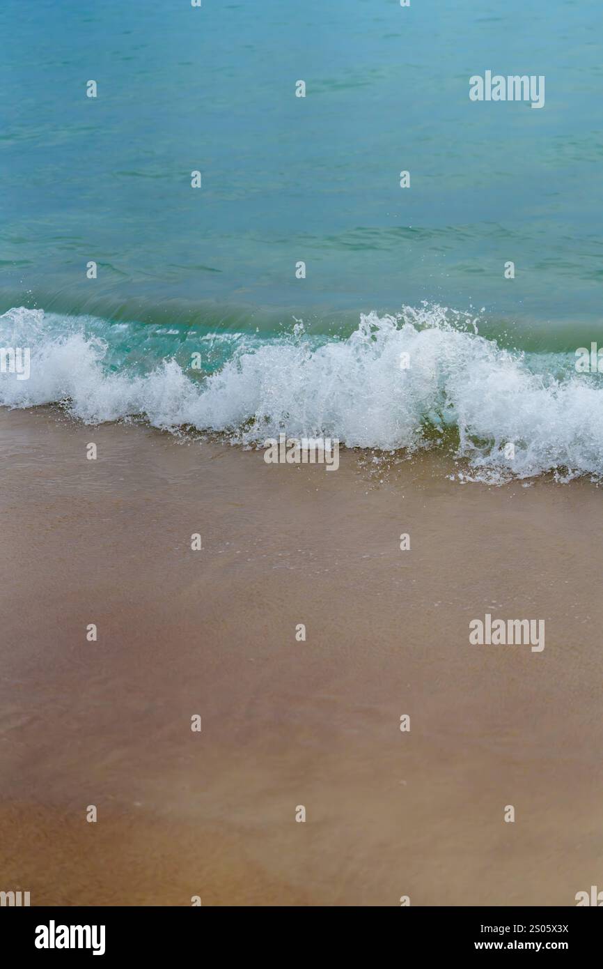 Les vagues dans la plage Banque D'Images