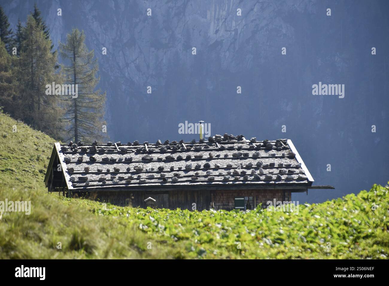 Cabane alpine rustique sur le Priesbergalm, parc national de Berchtesgaden, Bavière, Allemagne, Europe Banque D'Images