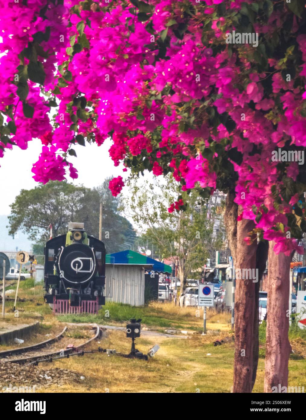 À la gare de Hua Hin, des plantes suspendues affichant une fleur jolie et vibrante, dans la lumière de fin d'après-midi, encadrant une locomotive à vapeur vintage et désaffectée Banque D'Images