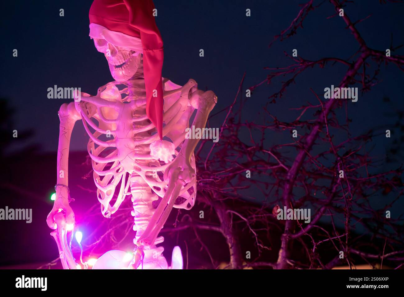 Squelette portant un chapeau de Père Noël orné de lumières de Noël colorées dans un cadre festif Banque D'Images