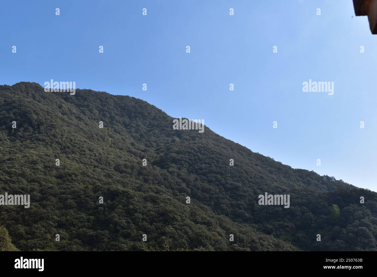 Niché dans les collines sereines du parc national de Shivapuri, juste à l'extérieur de Katmandou, au Népal se trouve le monastère tranquille de Nagi Gompa. Cet ancien Mo bouddhiste Banque D'Images