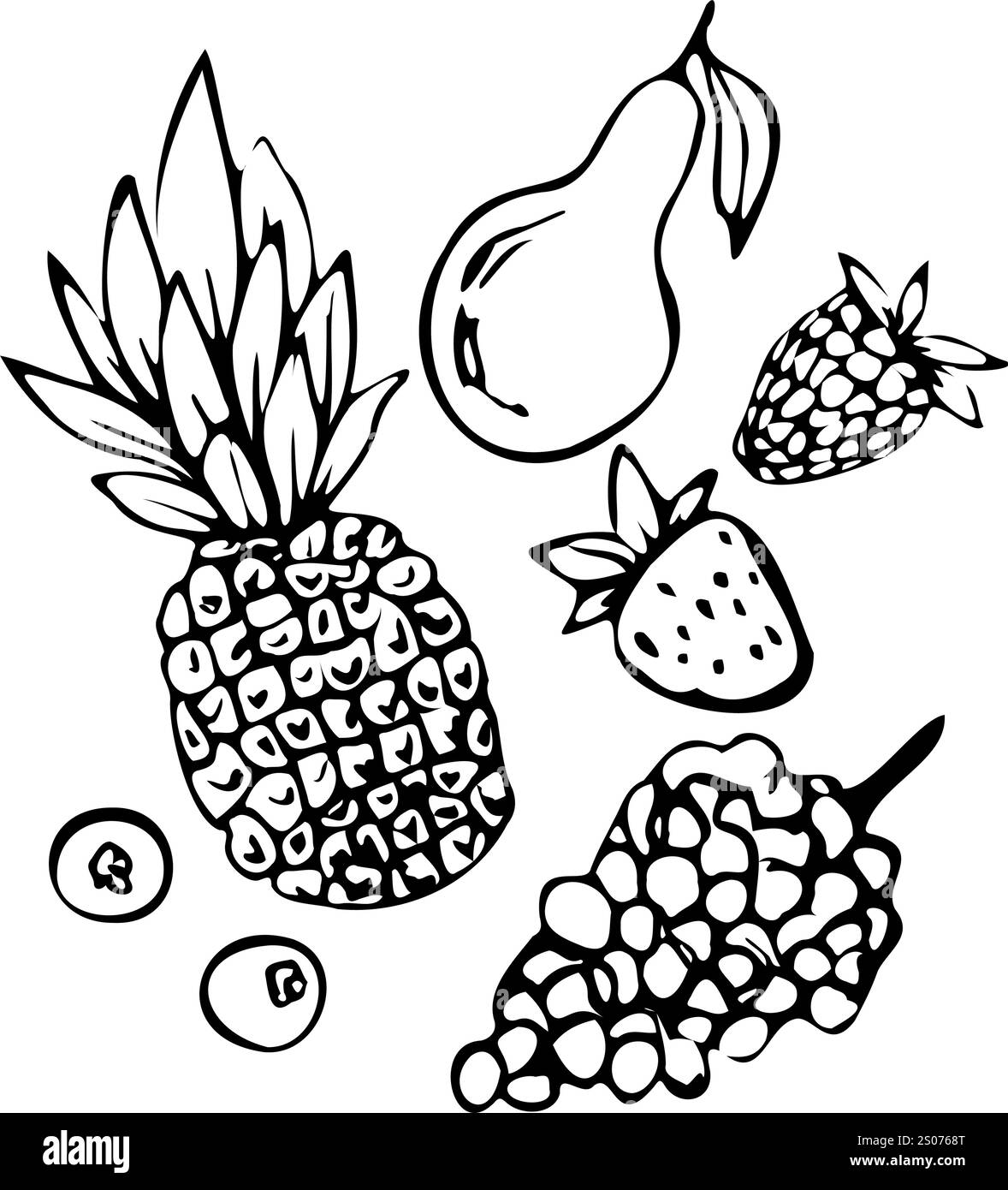 Illustration d'art de ligne vectorielle dessinée à la main de fruits, y compris ananas, poire, fraise, myrtille, et des raisins. Style minimaliste adapté pour Illustration de Vecteur