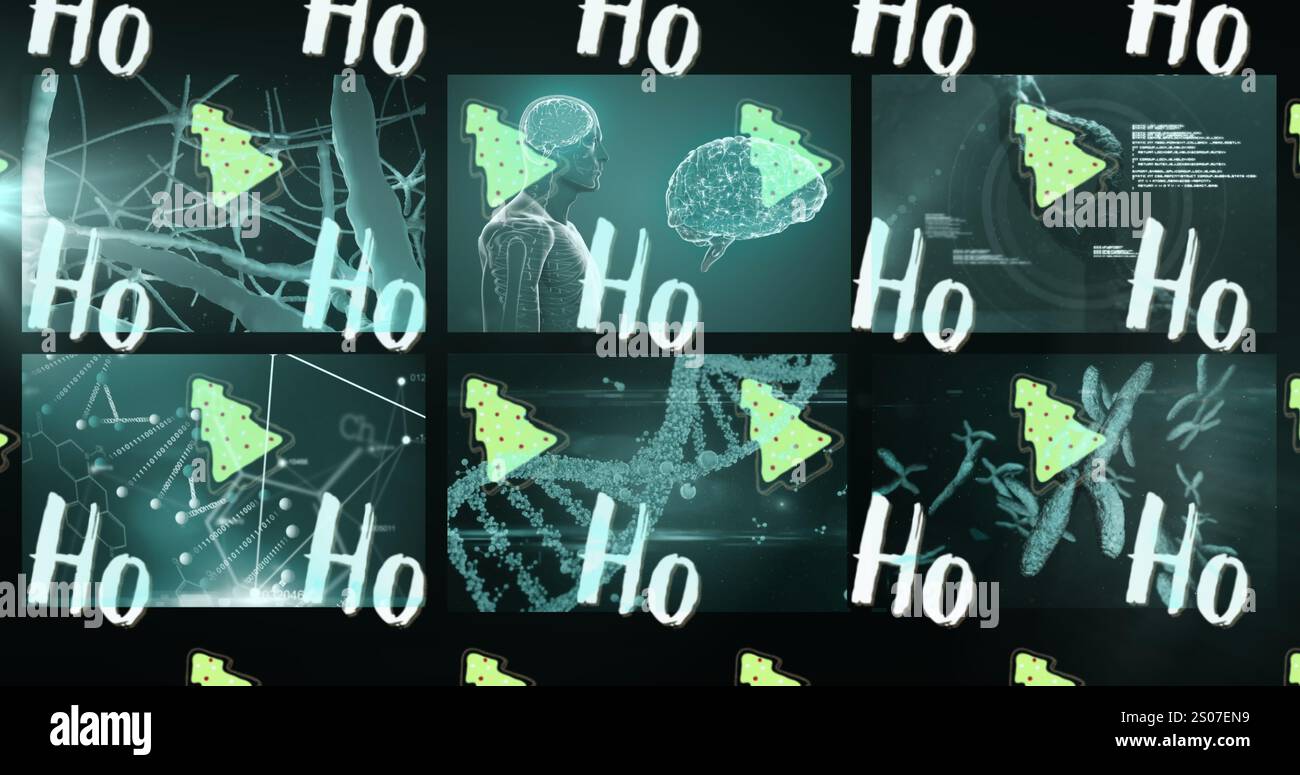 Image du texte HO et des arbres de noël sur le cerveau, l'adn et le traitement des données médicales sur les écrans Banque D'Images