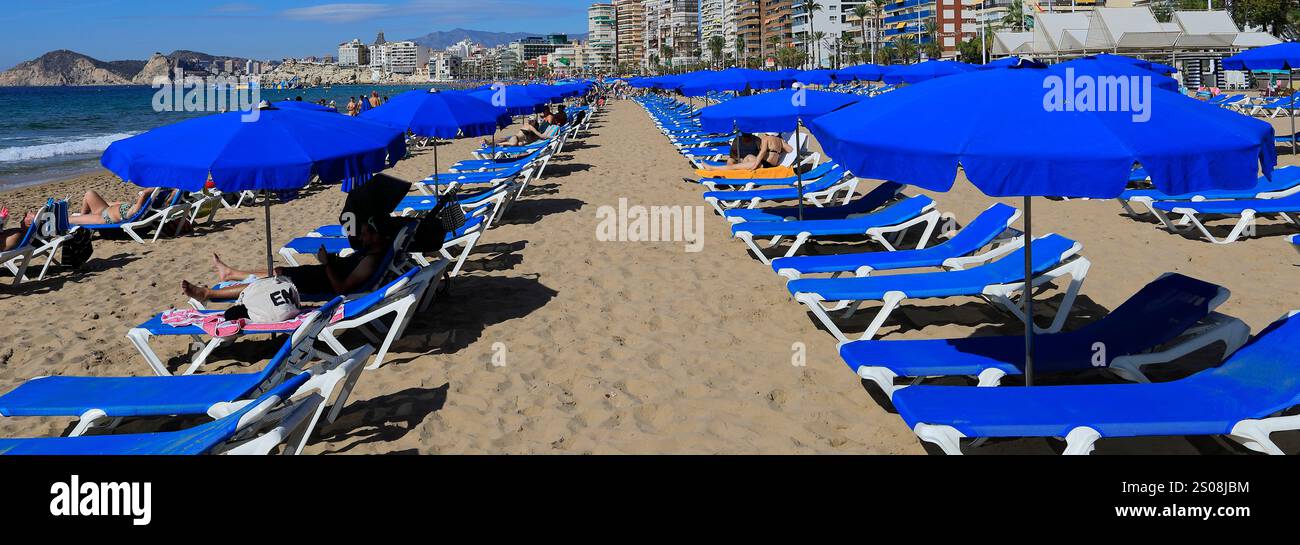 Vue sur la plage de Levante, ville de Benidorm, Costa Blanca, Province de Valence, Espagne, Europe Banque D'Images