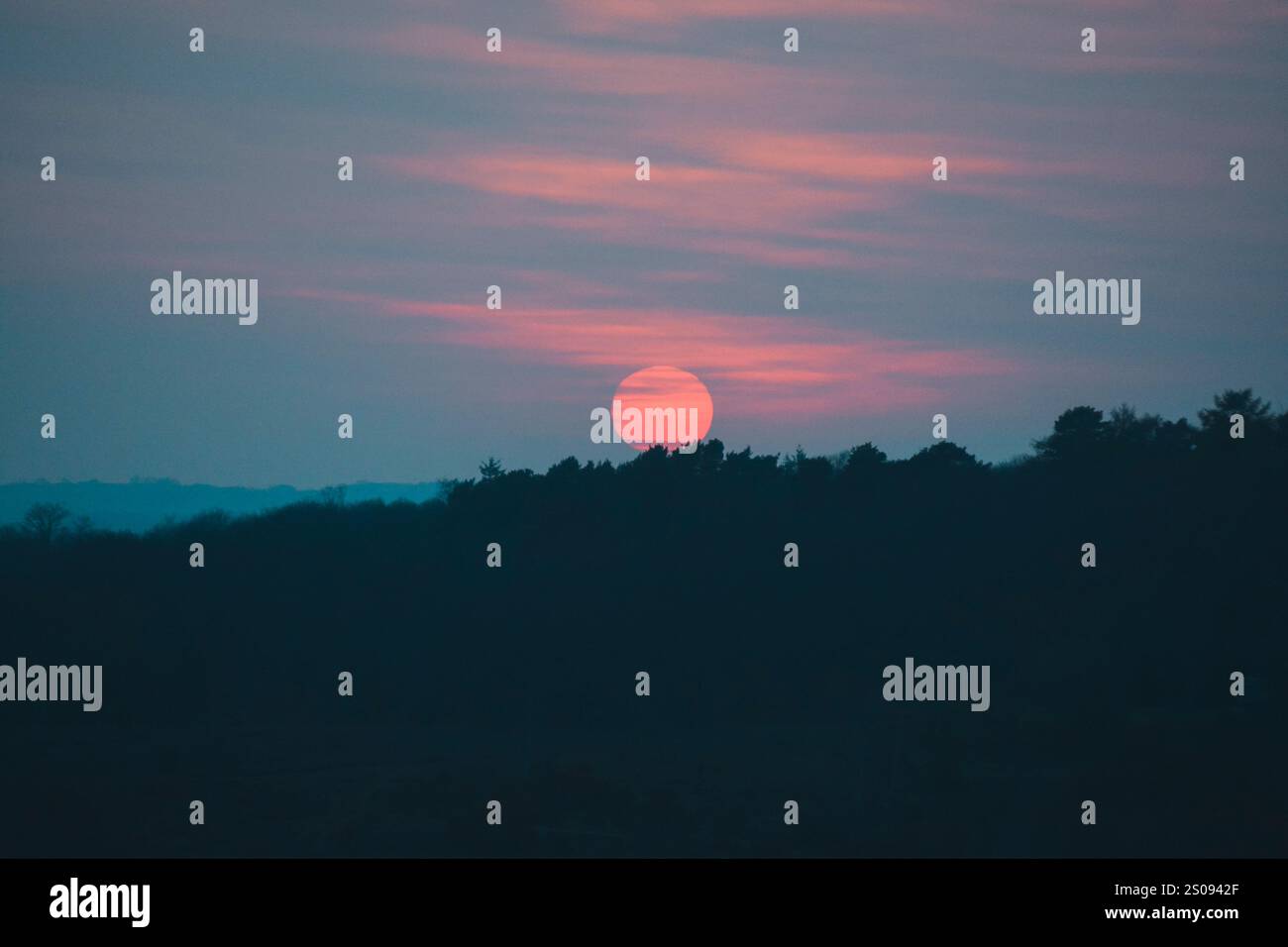 Coucher de soleil rose voilé par un mince nuage au-dessus de l'horizon bordée d'arbres Banque D'Images