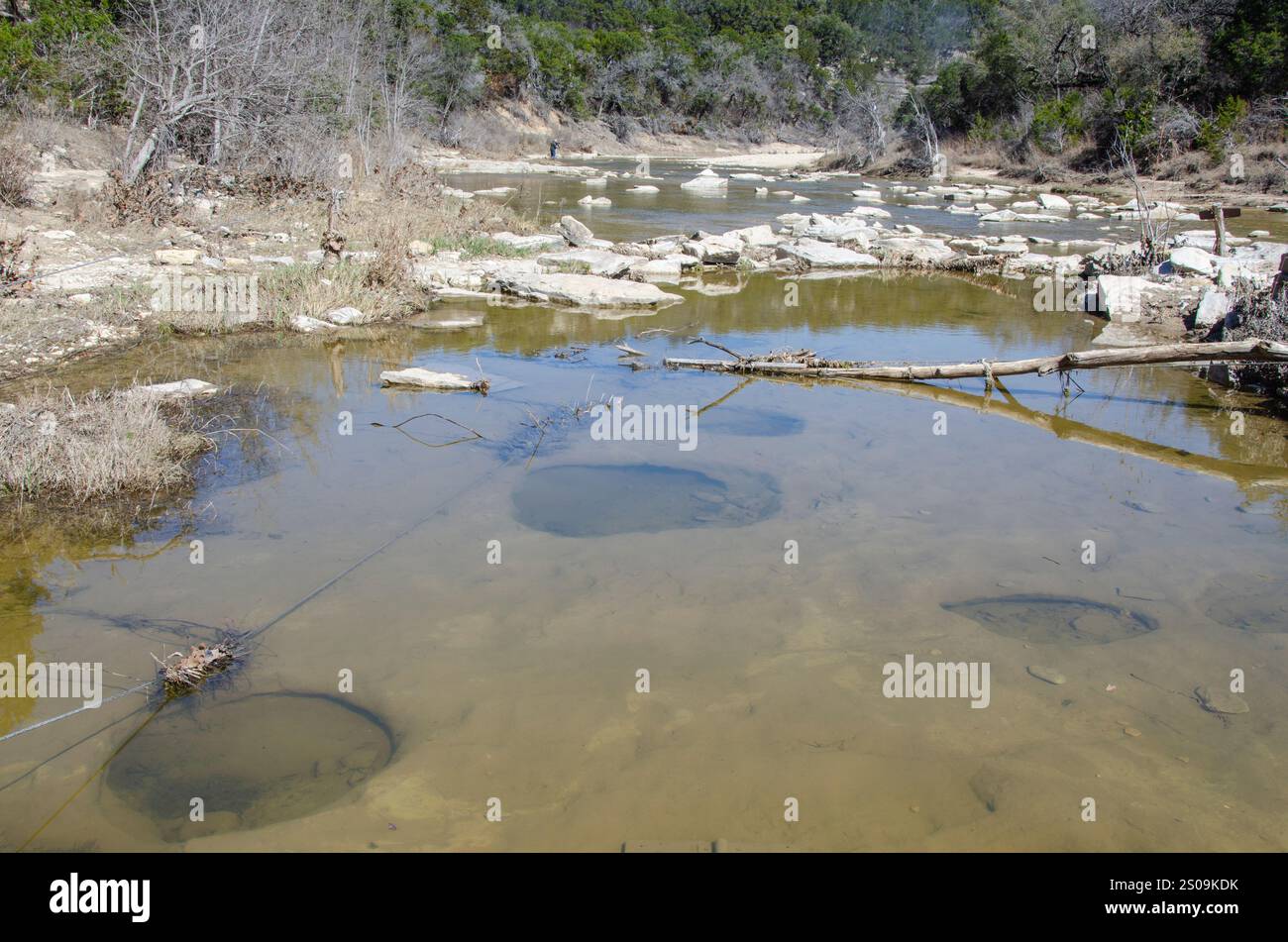Dinosaur Valley State Park, près de Glen Rose, Texas, a été créé en 1972 pour protéger les traces de dinosaures le long de la rivière Paluxy. Banque D'Images