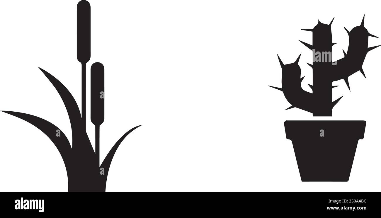 feuille de vecteur, cactus, rose, dessins de fleurs de marguerite Illustration de Vecteur