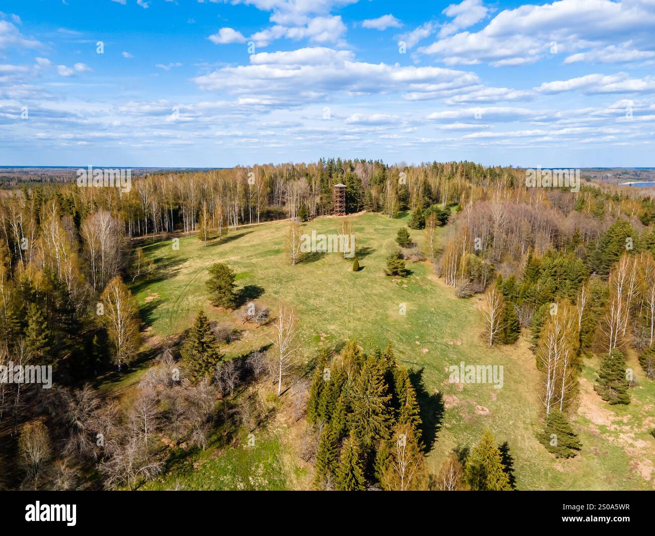 Une tour d'observation en bois s'élève au-dessus d'une forêt dense bordant des prairies ouvertes. Les nuages moelleux projettent des ombres douces, mettant en valeur le paysage naturel. Banque D'Images