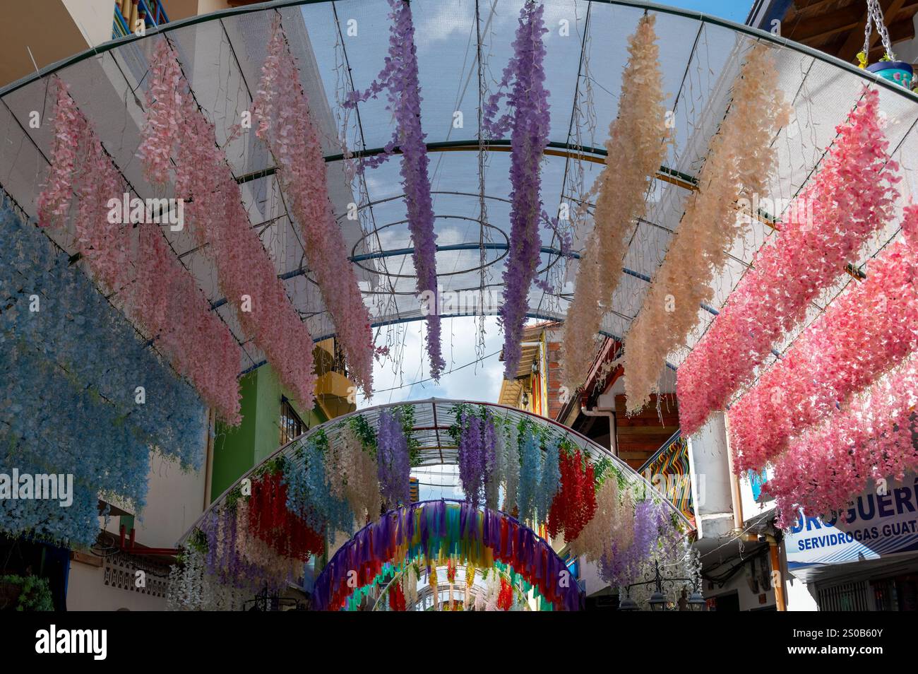 Un passage vibrant et fleuri crée une atmosphère joyeuse et enchanteresse. Banque D'Images