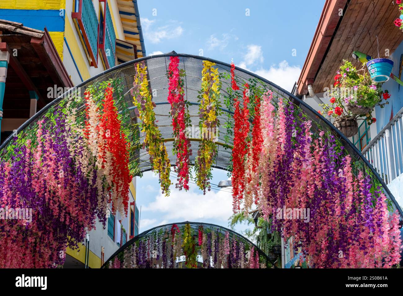 Une passerelle vibrante ornée de fleurs en cascade, créant une atmosphère joyeuse et enchanteresse. Banque D'Images