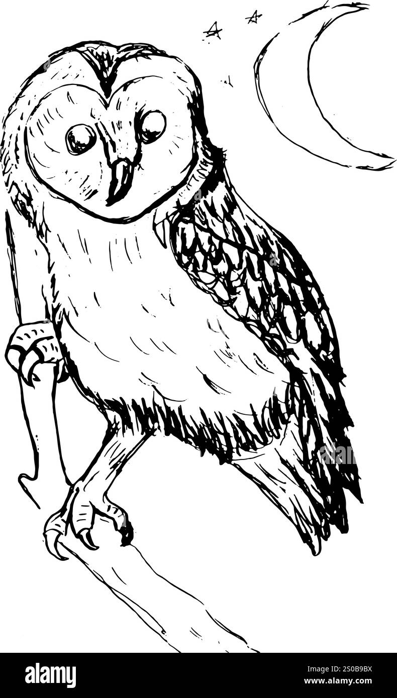 Gros hibou perché sur une branche sous un croissant de lune. Parfait pour les projets fantastiques et inspirés de la nature, les livres de coloriage, les cartes de vœux. Ligne minimaliste Illustration de Vecteur