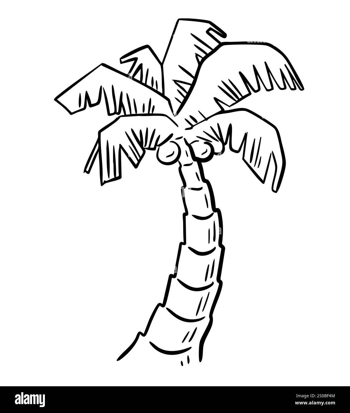 Croquis noir et blanc de palmier tropical Illustration de Vecteur
