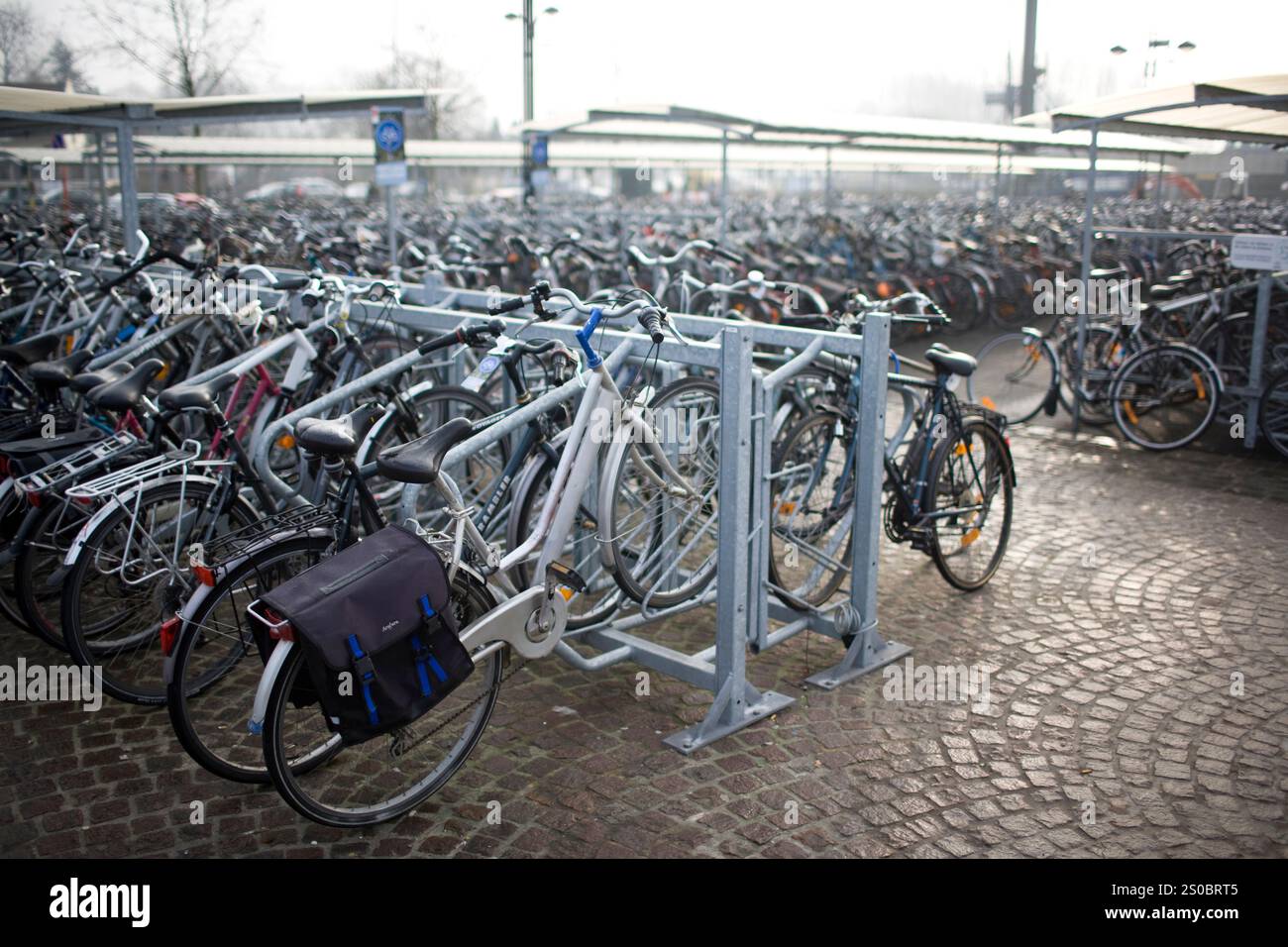 Vélos garés sur des pavés. Banque D'Images Vélos garés sur des pavés. Banque D'Images