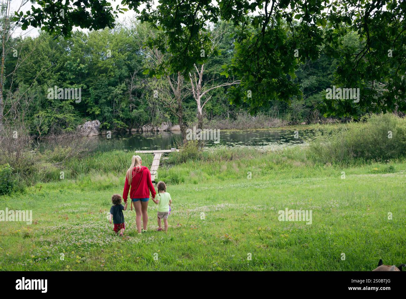 Femme marchant avec des enfants dans la prairie sur la rive Banque D'Images