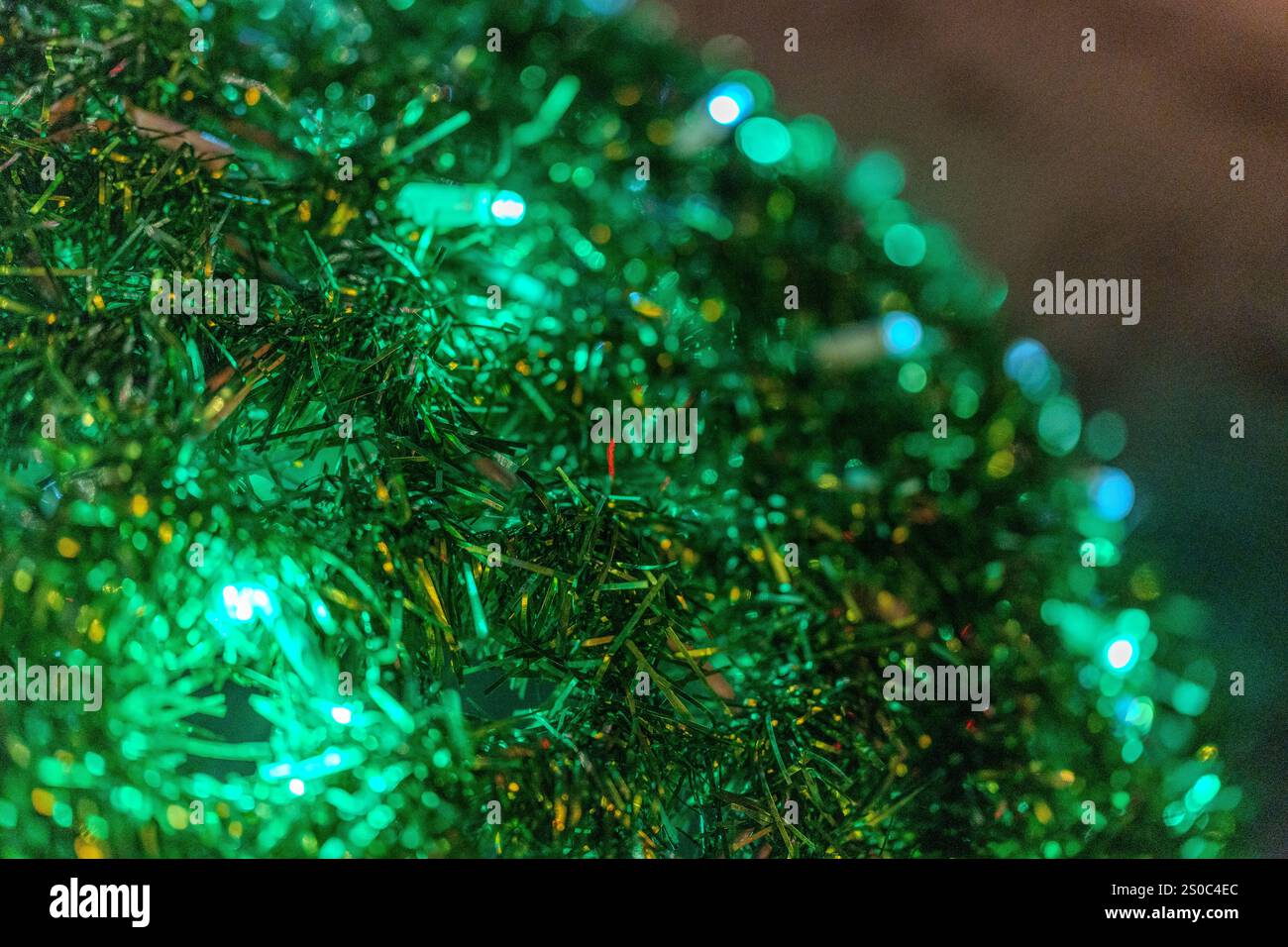 Close-up of Christmas Tree Banque D'Images