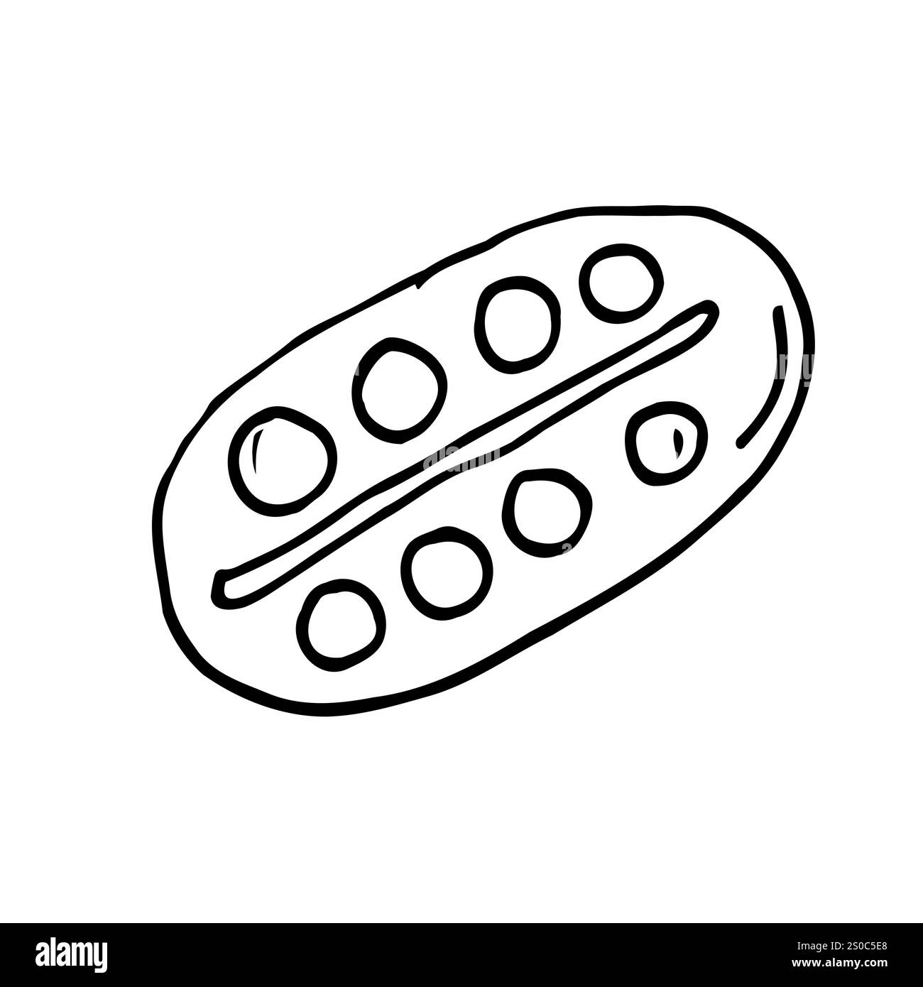 Illustration vectorielle d'artiste de style Doodle avec palette et peinture Illustration de Vecteur