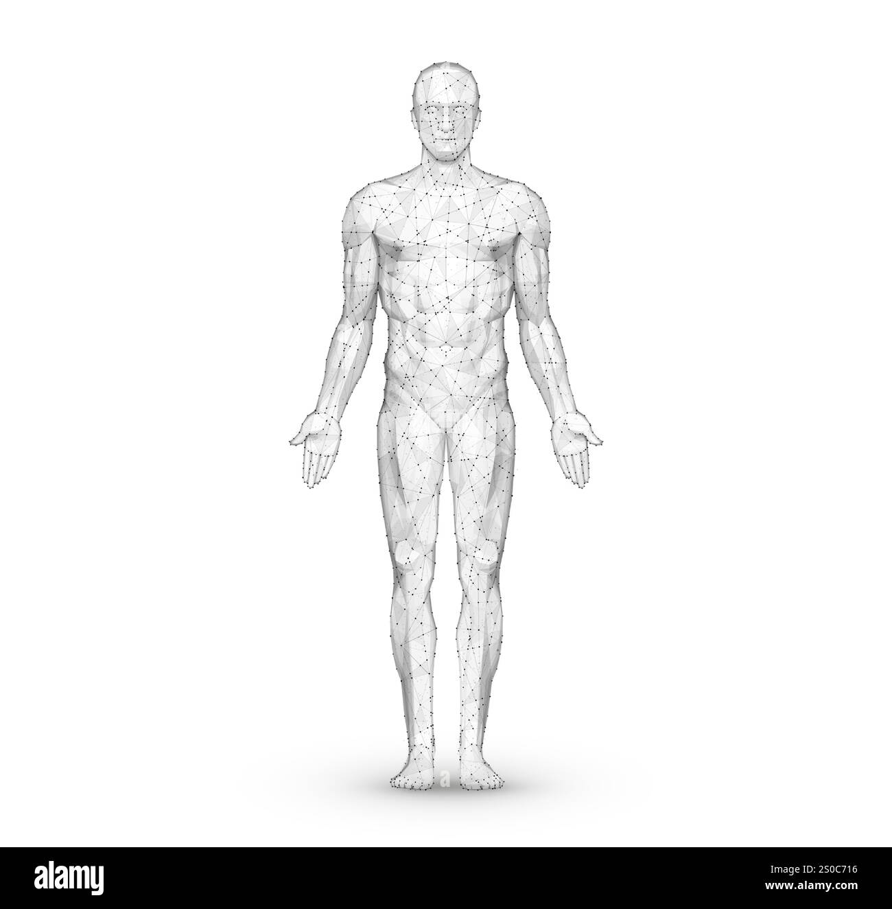 Corps humain. Vecteur abstrait. Anatomie numérique, technologie médicale, structure musculaire. Illustration de Vecteur
