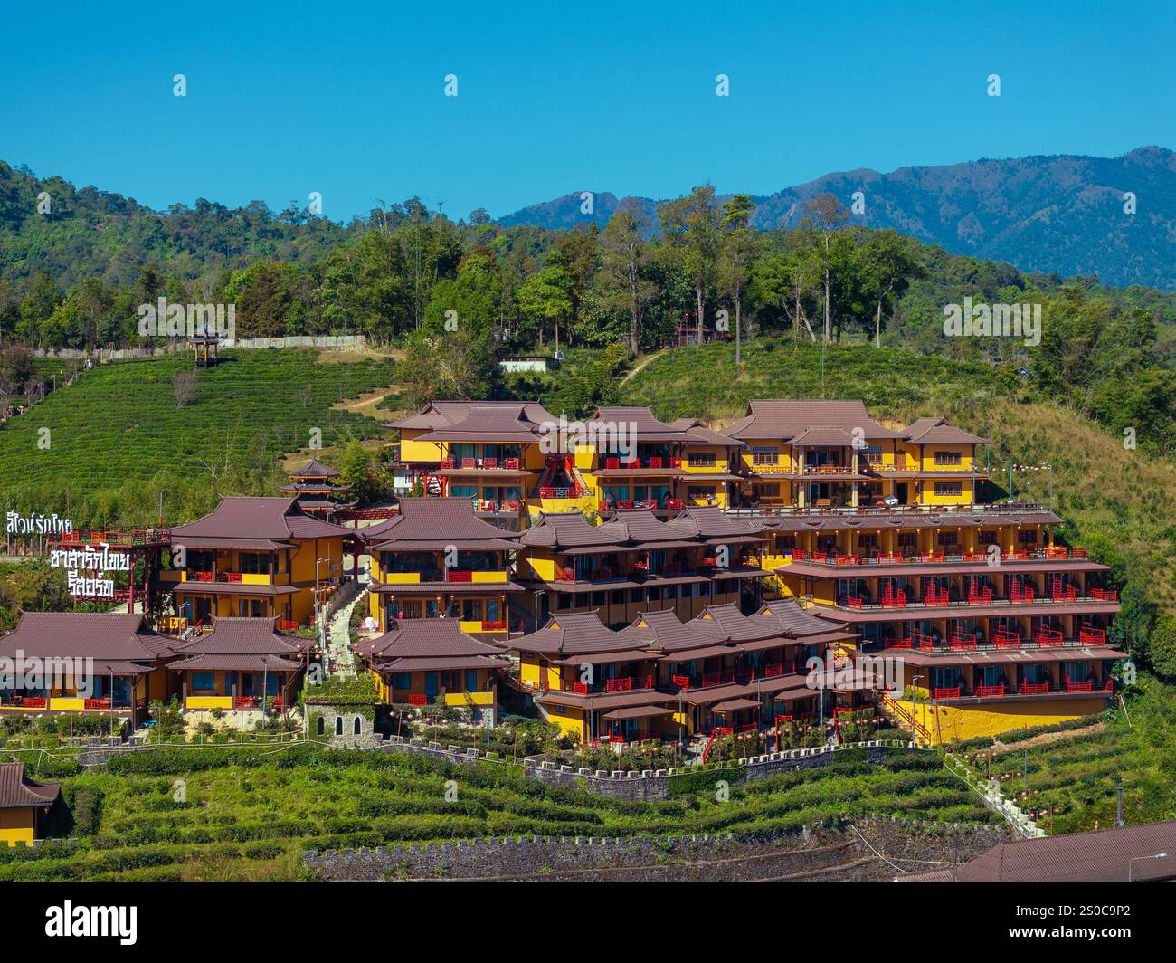 Vue aérienne du village chinois de Ban Rak Thai avec plantations de thé, Thaïlande Banque D'Images Vue aérienne du village chinois de Ban Rak Thai avec plantations de thé, Thaïlande Banque D'Images