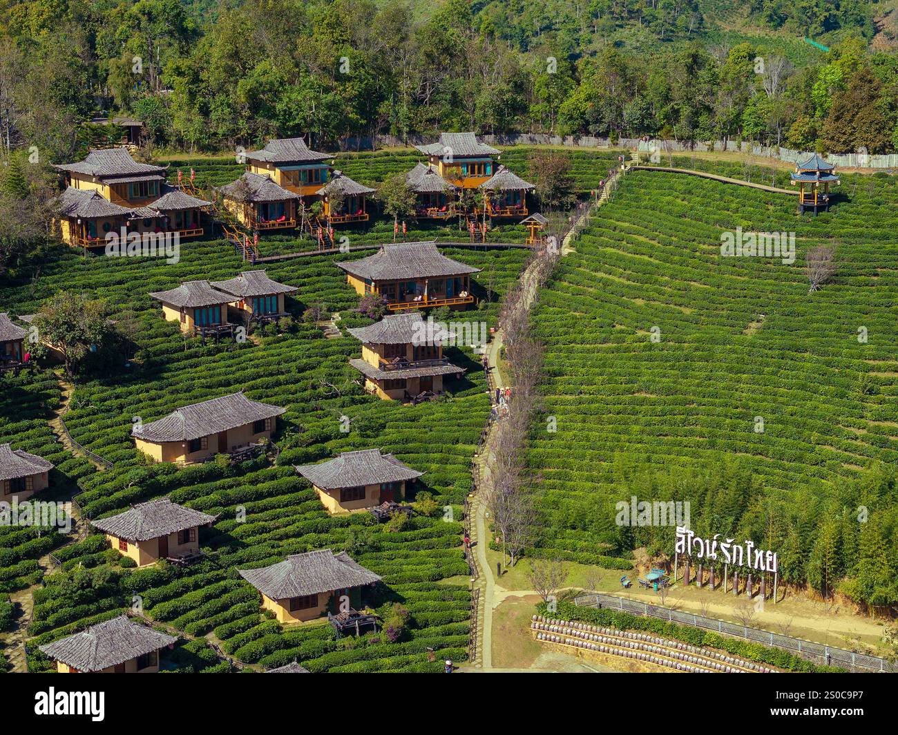 Vue aérienne du village chinois de Ban Rak Thai avec plantations de thé, Thaïlande Banque D'Images Vue aérienne du village chinois de Ban Rak Thai avec plantations de thé, Thaïlande Banque D'Images