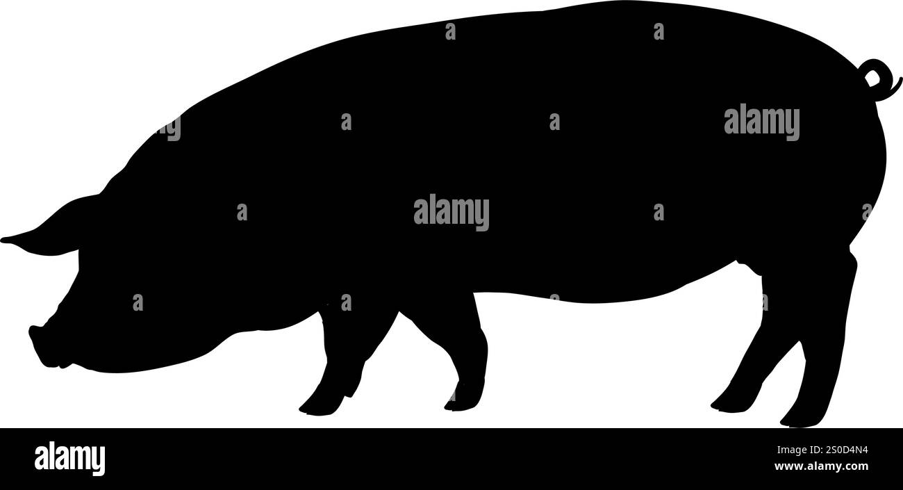 silhouette de porc - illustration vectorielle Illustration de Vecteur