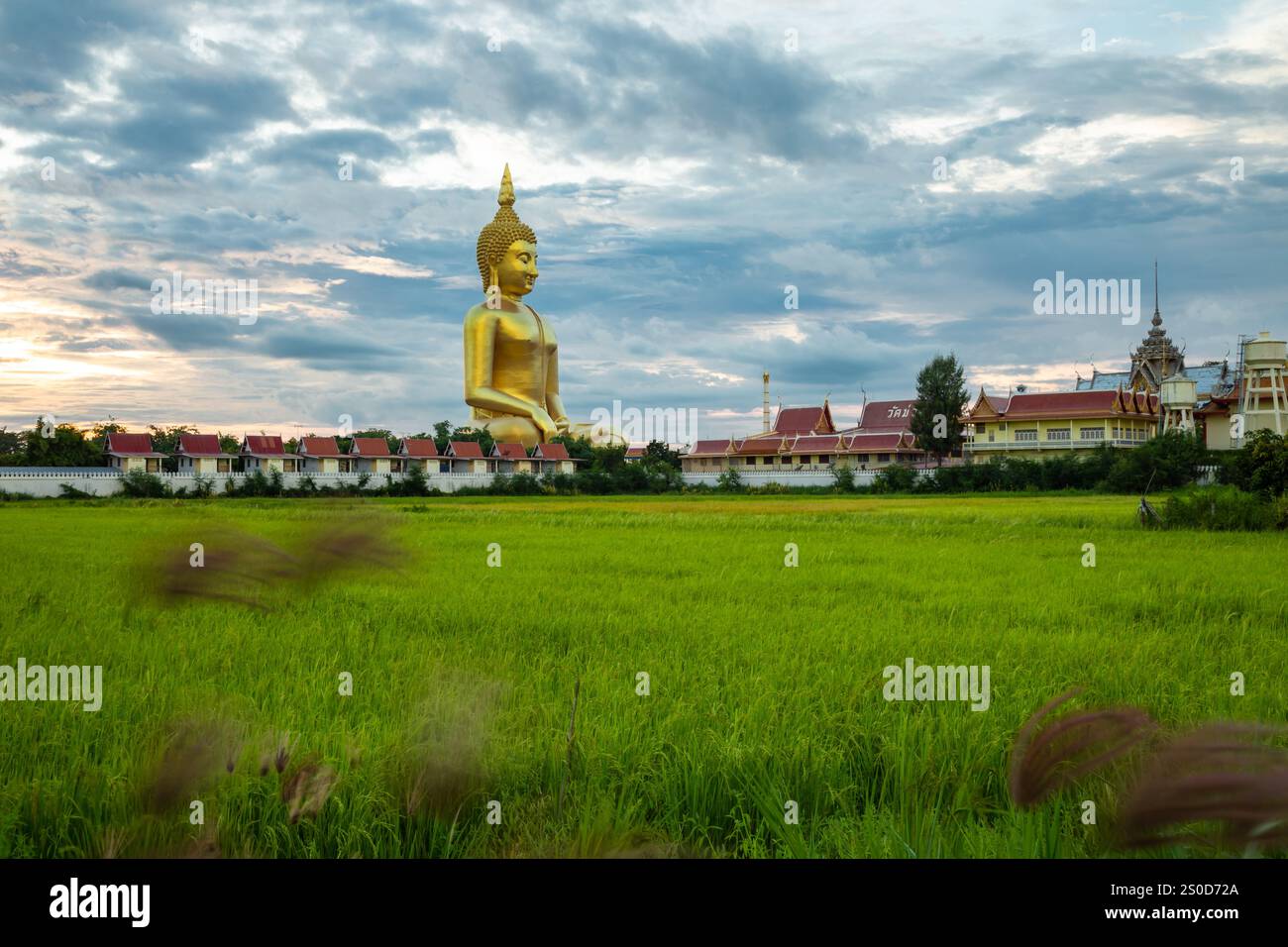 Wat Muang , la plus grande statue de Bouddha en fonte d'or en Thaïlande, Wiset Chai Chan District, Ang Thong Banque D'Images