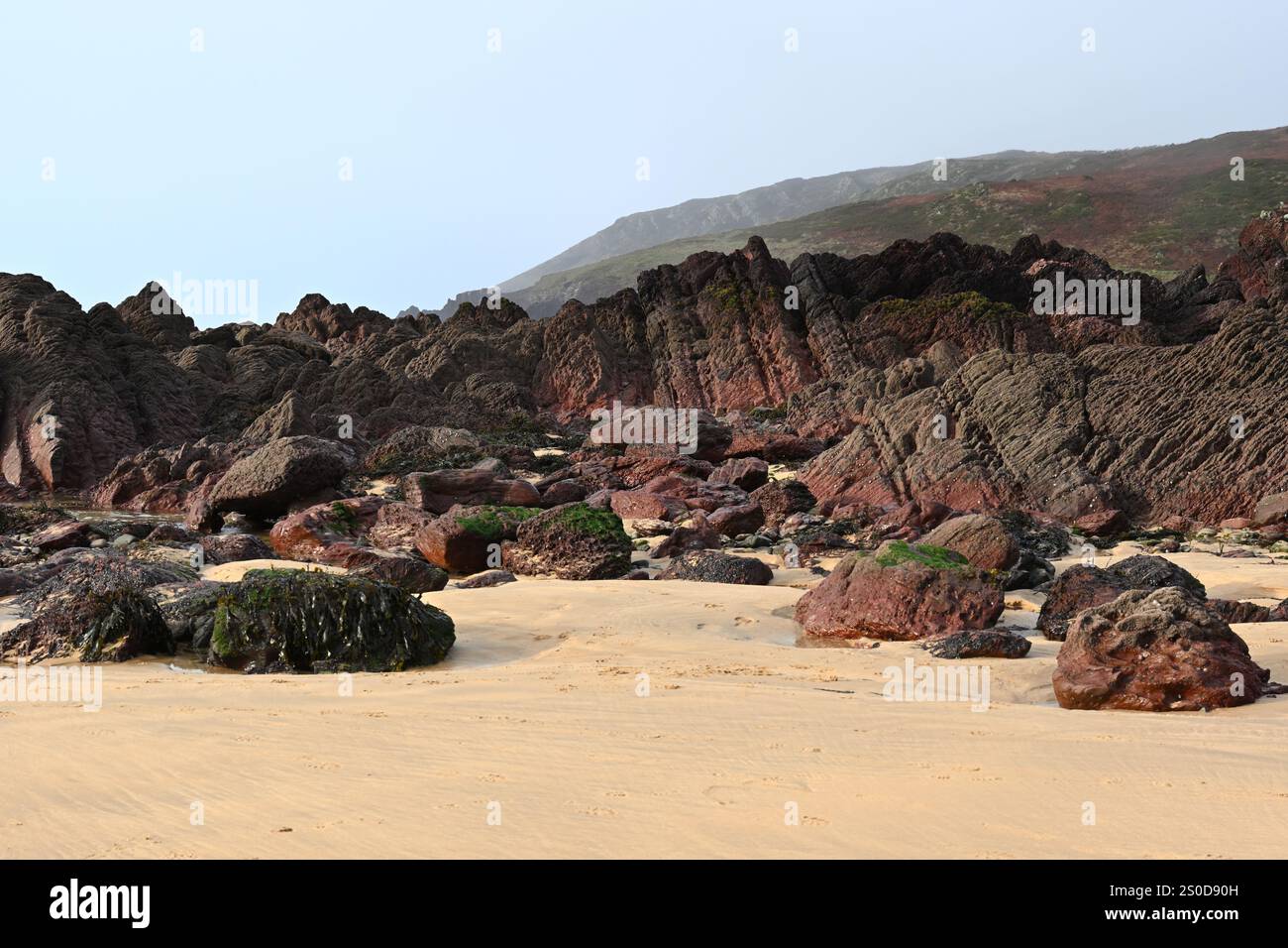 Formations rocheuses bicolores rouge et gris vert sur la plage de Freshwater, Pembrokeshire, pays de Galles Banque D'Images