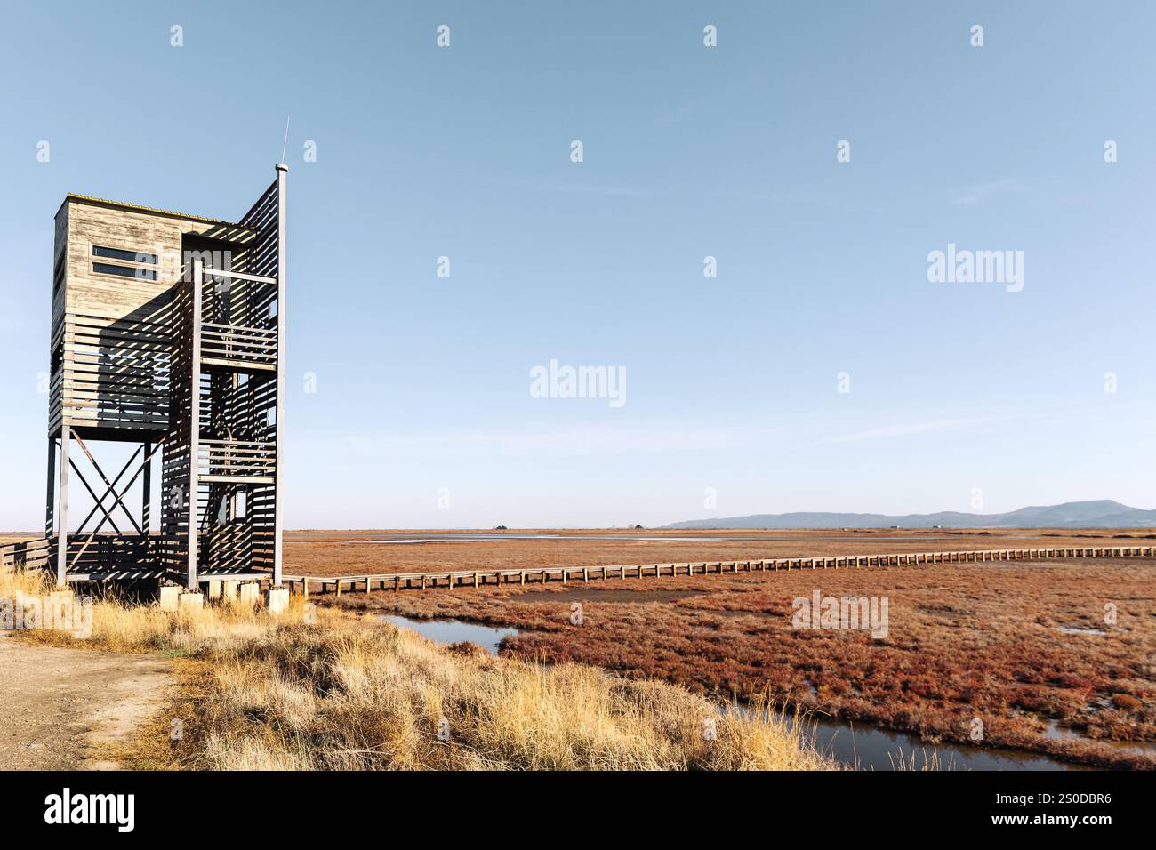 Observatoire des oiseaux au Parc National du Delta d'Evros, près d'Alexandroupolis et de la frontière turque, forêt de Dadia et zone humide protégée. Banque D'Images