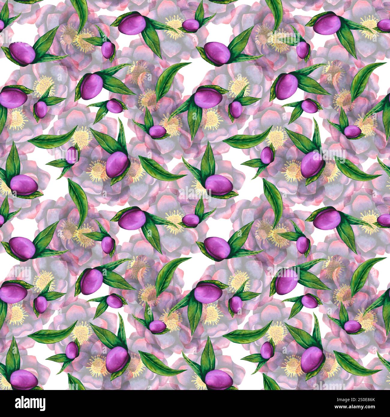 Hellebore noir. Motif sans couture d'éléments d'aquarelle. Fleurs dessinées à la main, bourgeons et feuilles. Travail botanique à l'aquarelle pour cartes, invitations, texti Banque D'Images