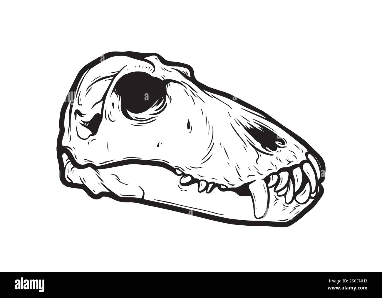 Crâne de dinosaure dans le style de travail par points, crâne de dinosaure de tatouage, icône fossile d'archéologie préhistorique vectorielle. Autocollant de gravure reptile jurassique, triceratops Illustration de Vecteur