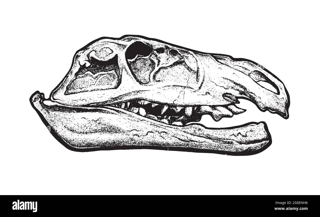 Crâne de dinosaure dans le style de travail par points, crâne de dinosaure de tatouage, icône fossile d'archéologie préhistorique vectorielle. Autocollant de gravure reptile jurassique, triceratops Illustration de Vecteur
