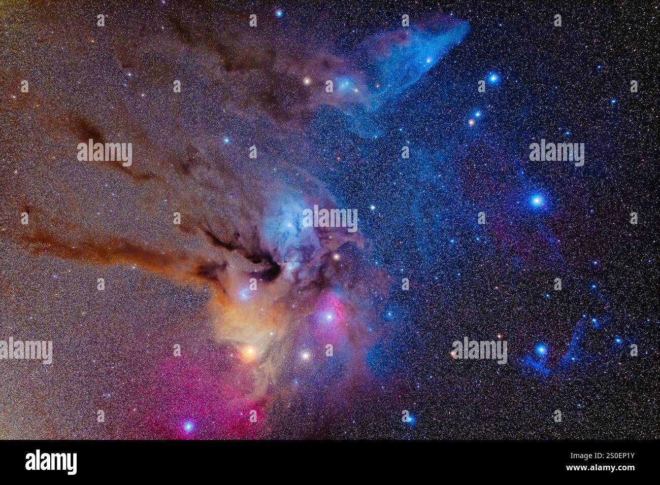 Le complexe Rho Ophiuchi de ruelles de poussière et de nébuleuses de réflexion. Banque D'Images