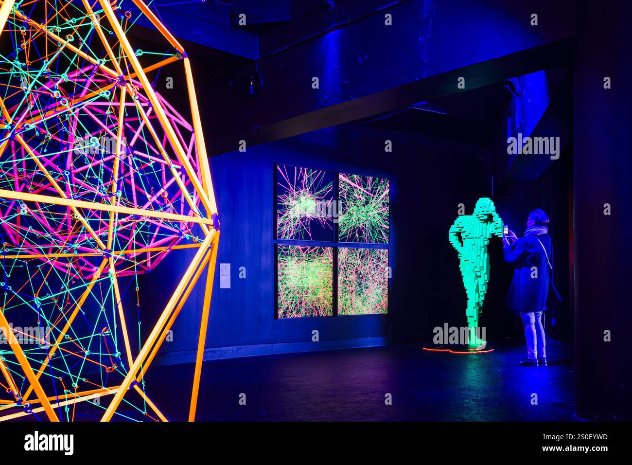 FRANCE. PARIS (75) (12ÈME ARRONDISSEMENT) L'EXPOSITION IMMERSIVE 'PIXELS', (ART NUMÉRIQUE), DE L'ARTISTE MIGUEL CHEVALIER, AU GRAND PALAIS IMMERSIF, LY Banque D'Images