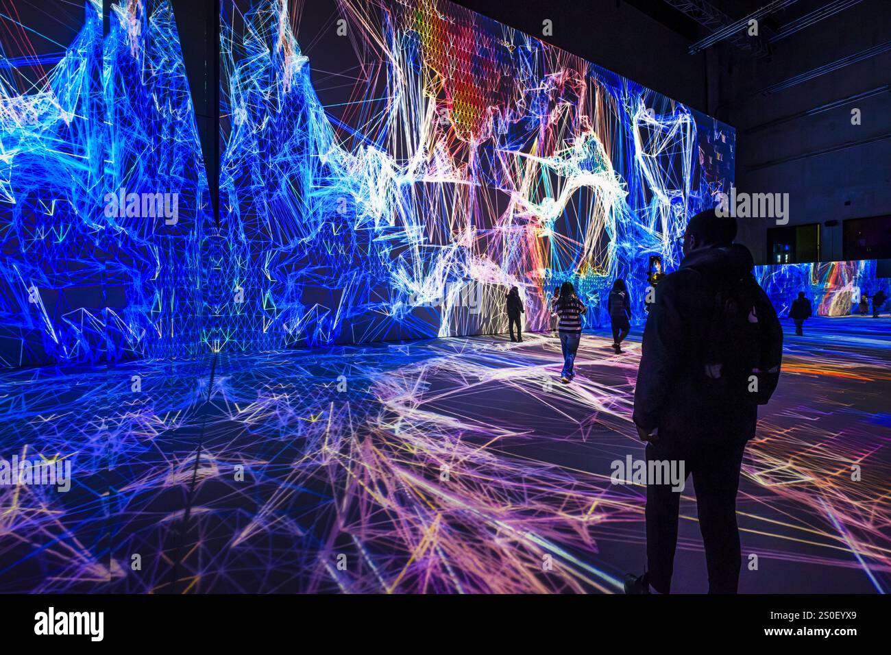 FRANCE. PARIS (75) (12ÈME ARRONDISSEMENT) L'EXPOSITION IMMERSIVE 'PIXELS', (ART NUMÉRIQUE), DE L'ARTISTE MIGUEL CHEVALIER, AU GRAND PALAIS IMMERSIF, LY Banque D'Images