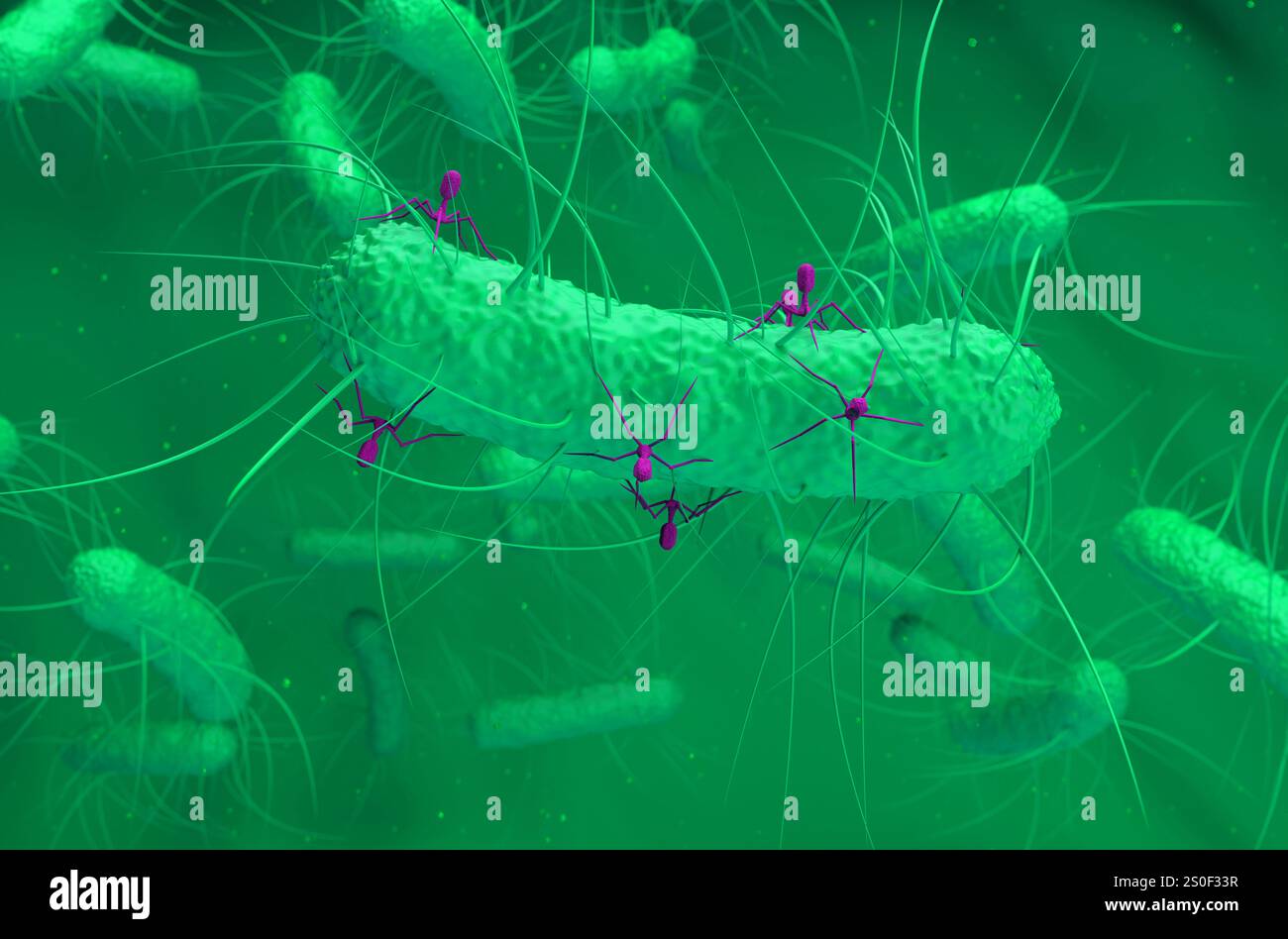 Les virus bactériophages attaquent les bactéries - vue isométrique illustration 3D. Banque D'Images