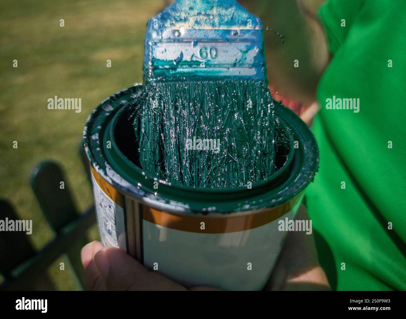 Peintre de maison imprégnant son castor à brosse plate de peinture vert foncé. Peindre une clôture en bois avec de la peinture acrylique Banque D'Images