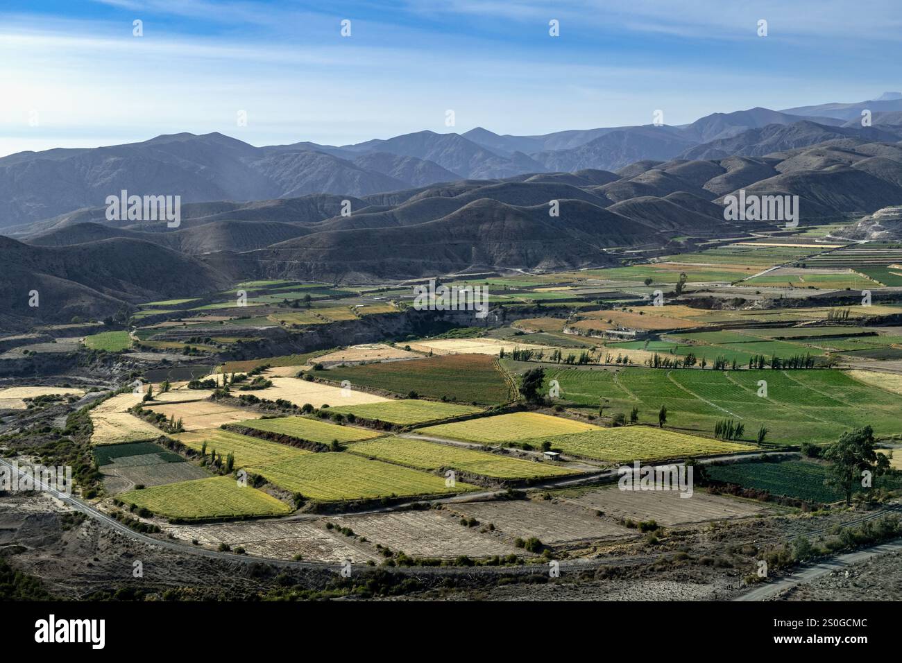 Champs agricoles dans les Andes péruviennes. Banque D'Images