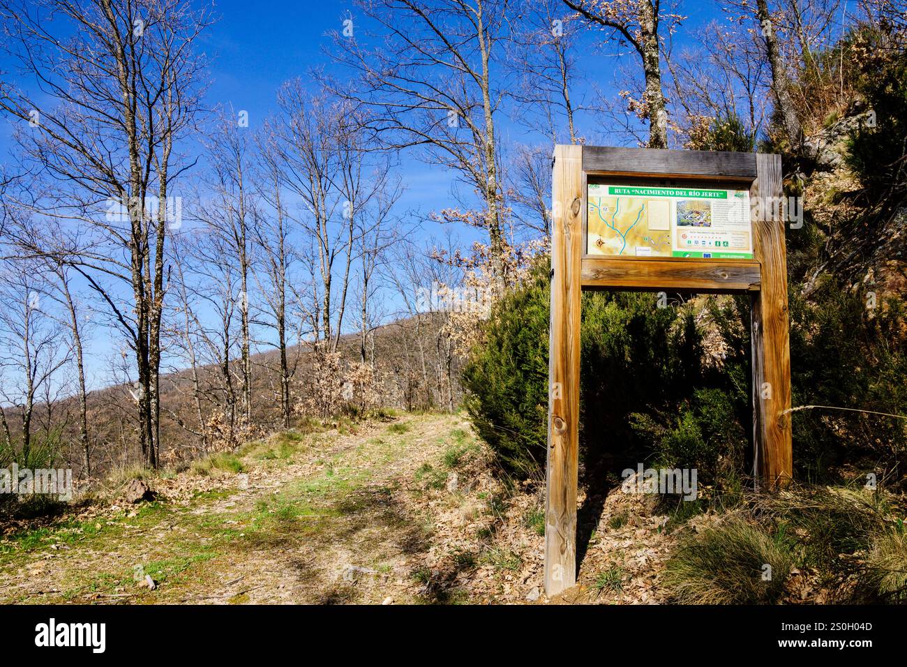 Itinéraire de la source de la rivière Jerte, réserve naturelle Garganta de los Infiernos, Sierra de Gredos, vallée de Jerte, Cáceres, Estrémadure, Espagne, Europe Banque D'Images