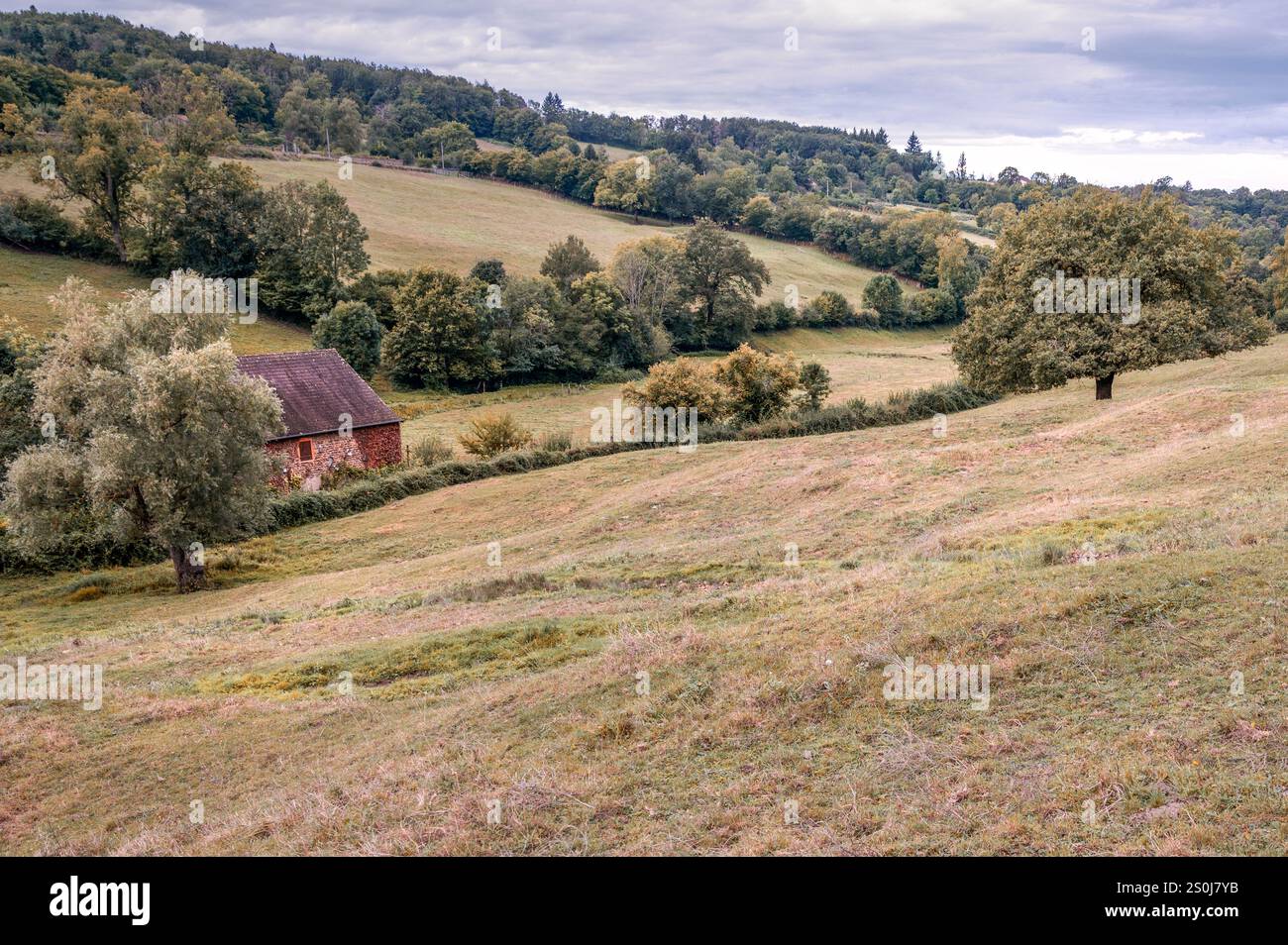 Une ferme vue de la DS 9 entre Jonzy et Sémur dans un paysage bocage typique de Bourgogne, Saône-et-Loire, Bourgogne-Franche-Comté, France Banque D'Images