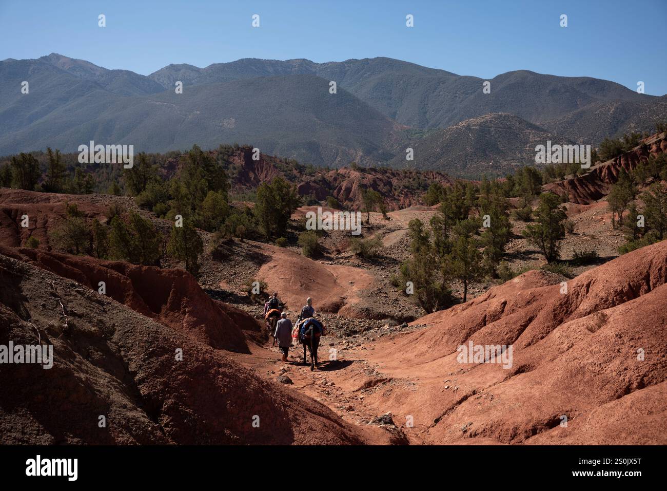 vue panoramique sur les montagnes de l'Atlas à travers le Maroc, l'Afrique du Nord Banque D'Images