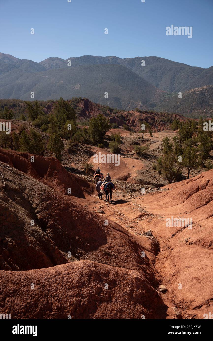 vue panoramique sur les montagnes de l'Atlas à travers le Maroc, l'Afrique du Nord Banque D'Images