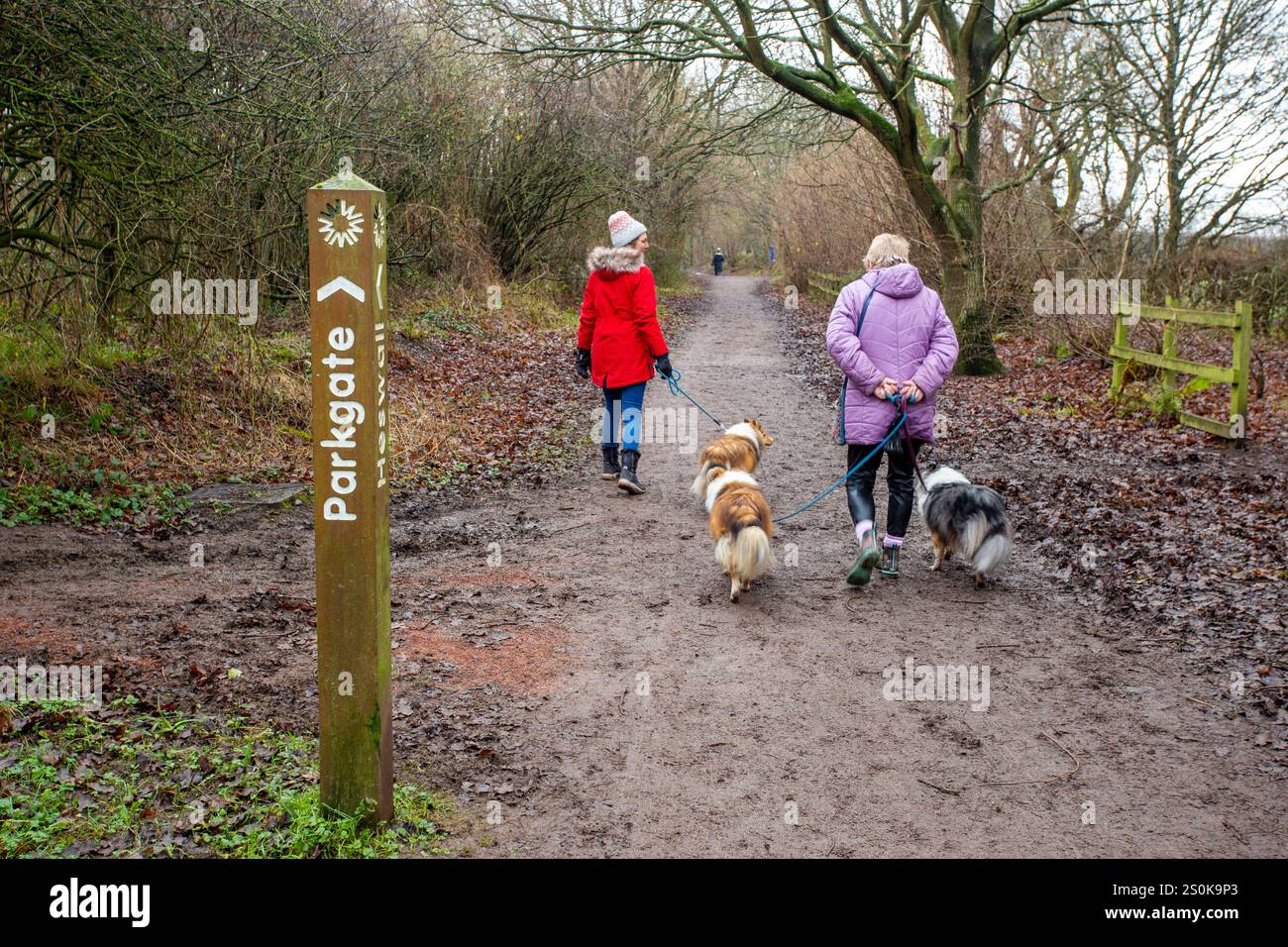 Les gens marchant des chiens sur le sentier de Wirral Way, le Wirral Way est un chemin sur la voie d'un vieux chemin de fer qui va de West Kirby à Hooton Merseyside Banque D'Images