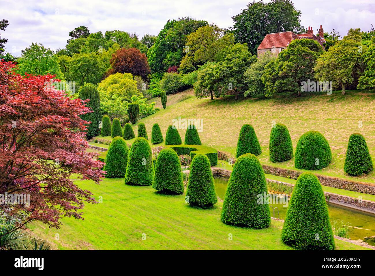 Une variété de haies et d'arbres en forme de topiaire dans le jardin de la piscine à Mapperton House, Dorset, Angleterre, Royaume-Uni Banque D'Images