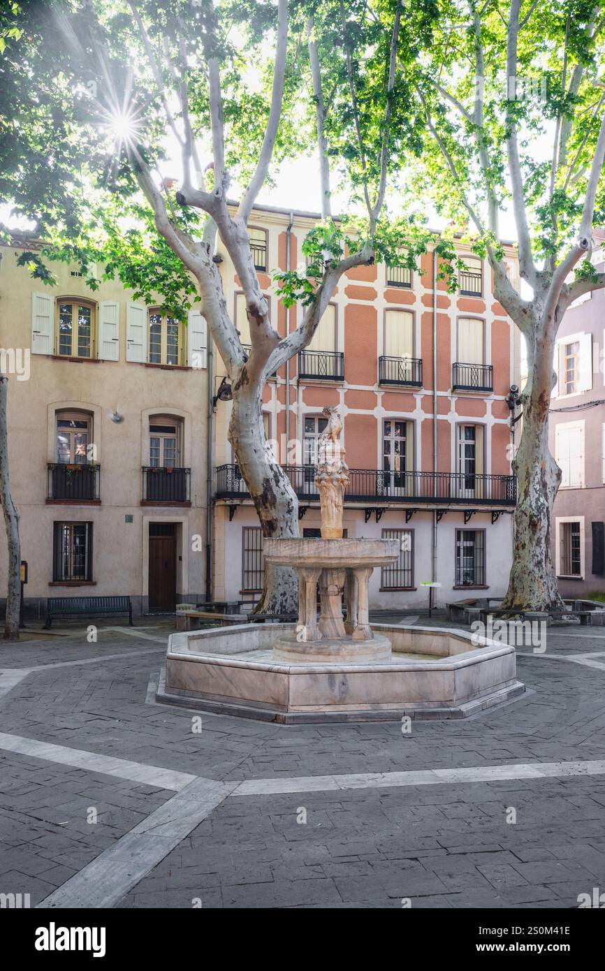 Sculpture d'un lion et d'une gargouille sur la colonne de la fontaine de la place neuf-jets dans le centre historique de Cerét, Occitanie, France Banque D'Images
