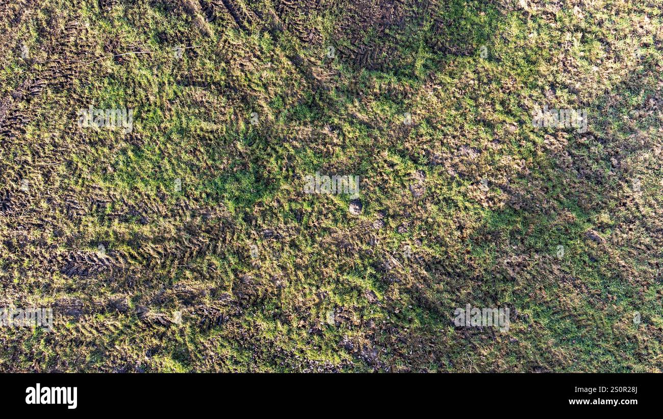 Vue à vol d'oiseau d'une jachère avec végétation et traces de tracteur Banque D'Images